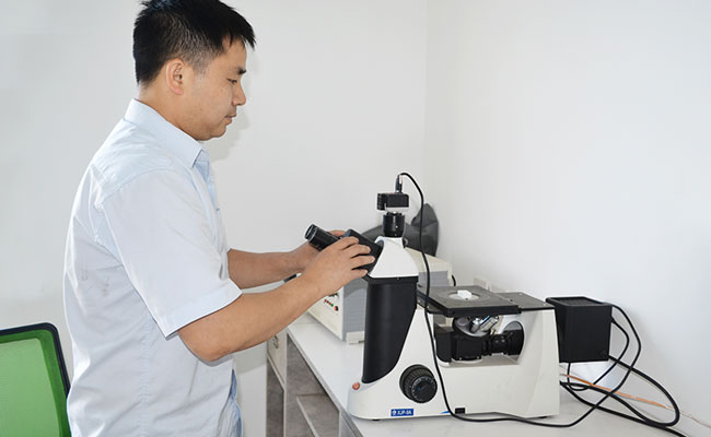 微觀結構分析